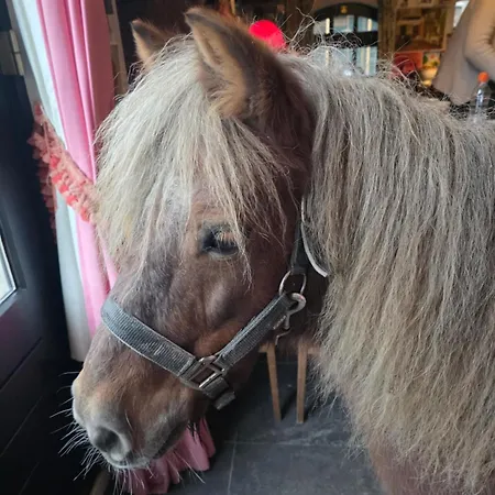 Farm stay Op Bij Nicole *